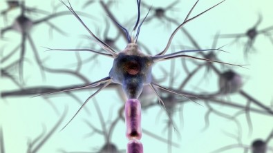 Segundo a Organização Mundial da Saúde (OMS), doença de Parkinson atinge 1% das pessoas com mais de 65 anos e chega a 4% entre a população com mais de 80 anos