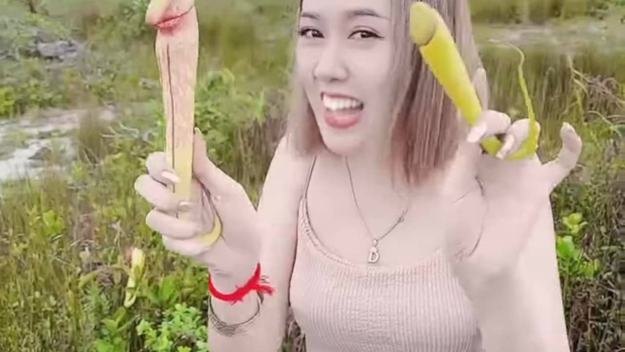 Vídeo de mulheres colhendo espécie em reserva natural se espalhou pelas redes.
