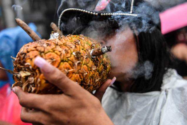 Uma mulher fuma Maconha em um abacaxi durante a Marcha Global da Maconha, exigindo a descriminalização da erva em Medellín, região de Antioquia, Colômbia, em 7 de maio de 2022. Uma mulher fuma Maconha em um abacaxi durante a Marcha Global da Maconha, exigindo a descriminalização da erva em Medellín, região de Antioquia, Colômbia, em 7 de maio de 2022.