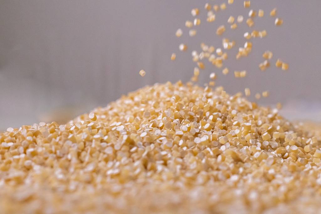 Startup chilena chega ao Brasil com bioplástico que se degrada em 20 meses