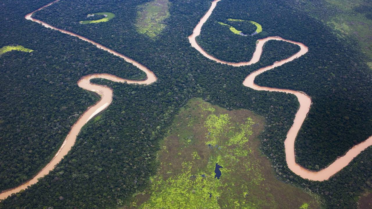 REVELAÇÃO - Amazônia boliviana, palco do achado: uma cidade sob a densa vegetação -