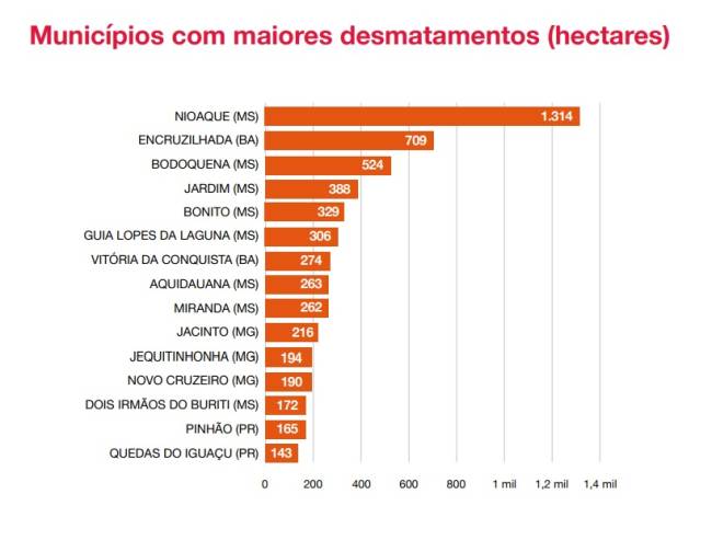 As cidades que mais desmataram a Mata Atlântica em 2021