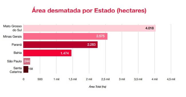 Os estados que mais desmataram a Mata Atlântica em 2021