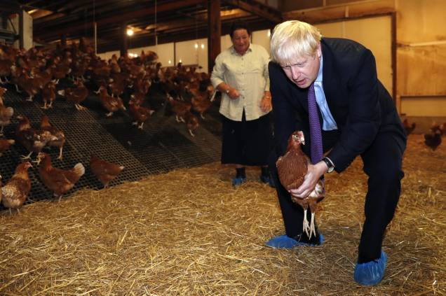 O primeiro-ministro britânico Boris Johnson, segura uma galinha durante sua visita para angariar apoio para seus planos agrícolas pós-Brexit, na Shervington Farm, St Brides Wentlooge, sul do País de Gales, em 30/07/2019. O primeiro-ministro britânico Boris Johnson, segura uma galinha durante sua visita para angariar apoio para seus planos agrícolas pós-Brexit, na Shervington Farm, St Brides Wentlooge, sul do País de Gales, em 30/07/2019.