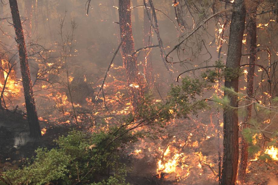 Incêndio florestal decorrente `as elevadas temperaturas, na região de Mugla, Turquia, em 13/07/2022. Incêndio florestal decorrente `as elevadas temperaturas, na região de Mugla, Turquia, em 13/07/2022.