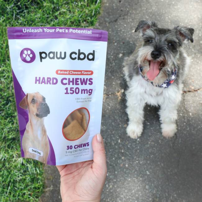 dog-hard-chews-150mg-baked-cheese-square-5686_1 Petiscos para pets prometem acalmar os animais e reduzir o estresse -