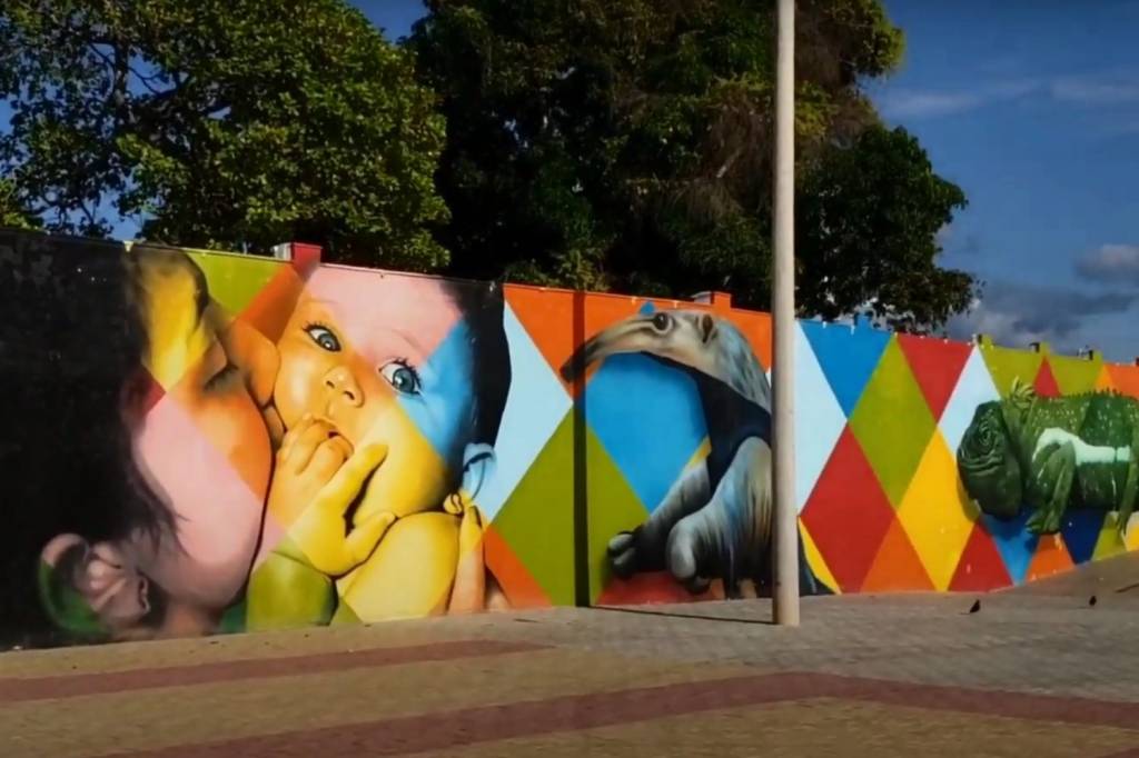 youtube-muro-kobra-parque-rio-branco-boa-vista-roraima Mural feito por Kobra em Boa Vista