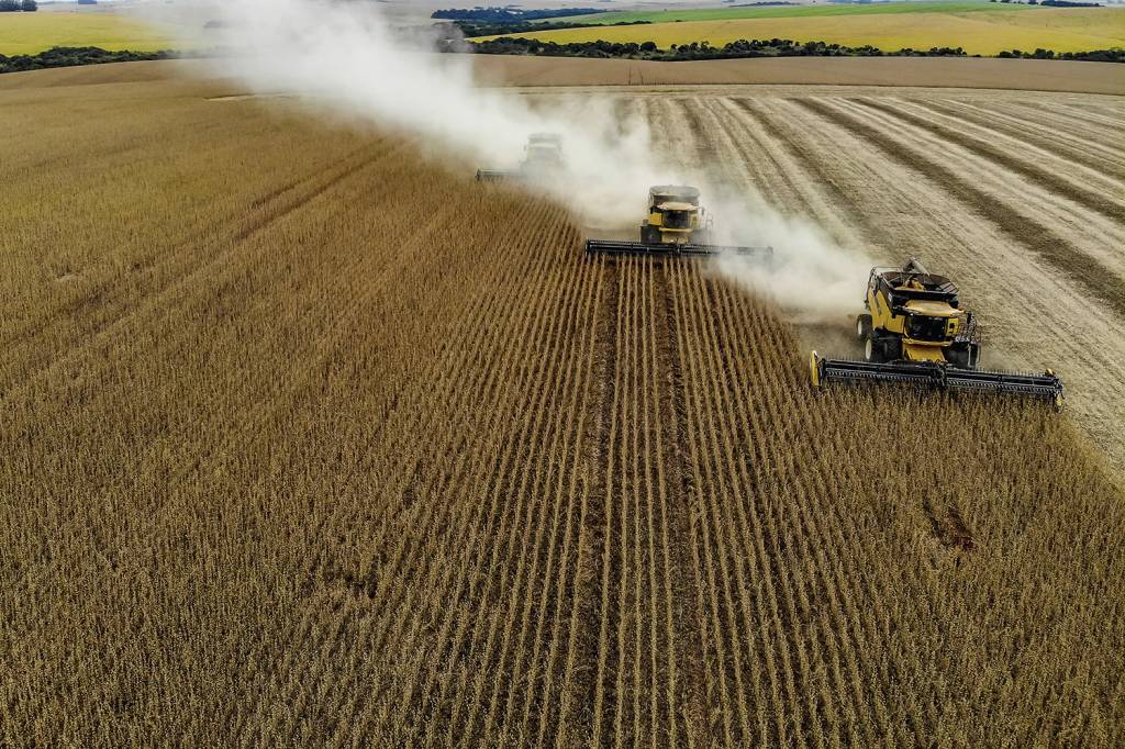 AGRICULTURA-COLHEITA-SOJA-2021-02_-(14).jpg ORGULHO - Prosperidade: o Brasil desenvolvido produz alimentos para abastecer os maiores mercados do mundo -