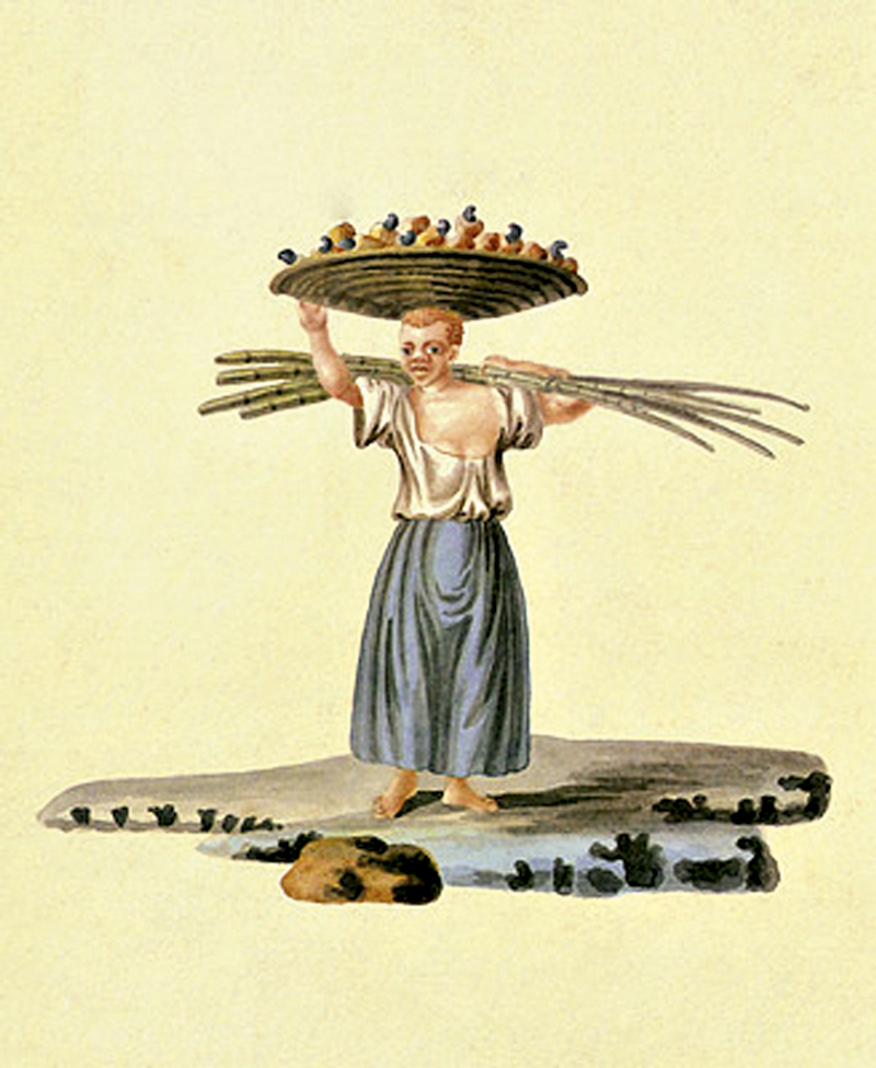 BAIXA_Vendedora-de-Cajus-e-Cana-(Albina),-1814-Joaquim-Cândido-Guillobel.jpg NAS FAZENDAS E PRATOS - Cana-de-açúcar: produto que serviu de atalho para a colonização -