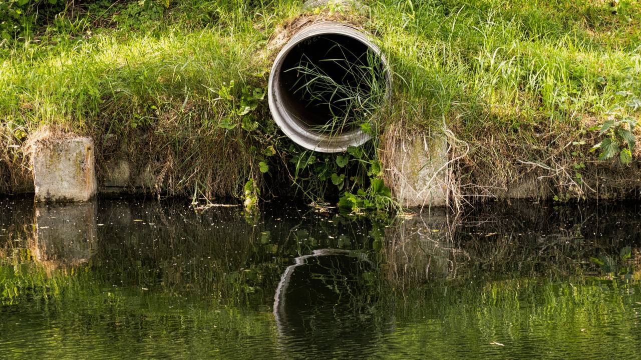 Poluição ambiental e despejo. Tubulação de esgoto e água suja parada em uma lagoa