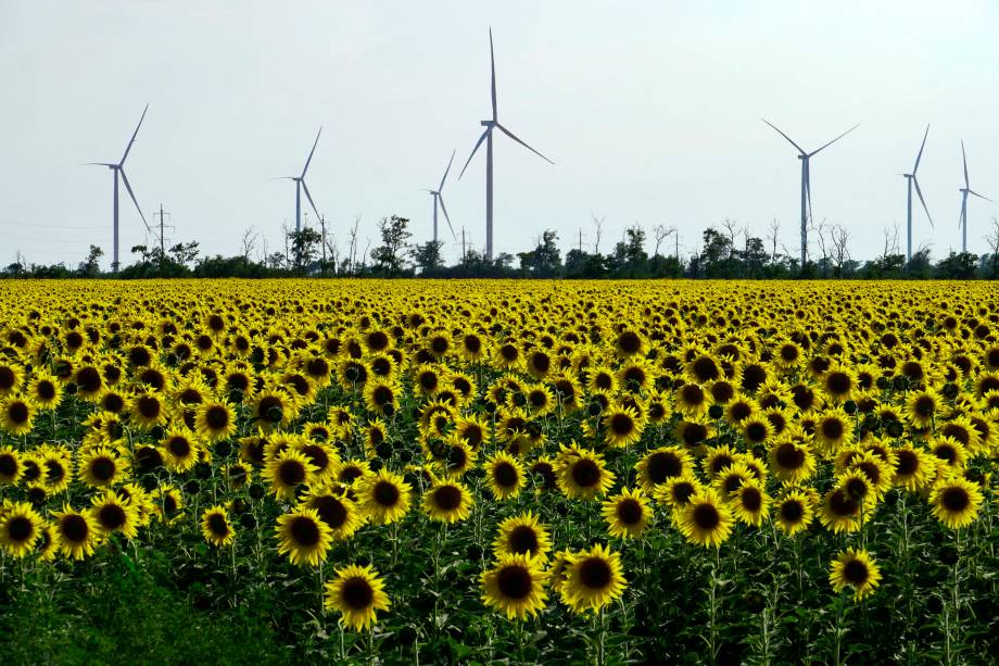 Turbinas eólicas atrás de um campo de girassóis em Melitopol, região de Zaporizhzhia, em meio à ação militar russa em andamento na Ucrânia.