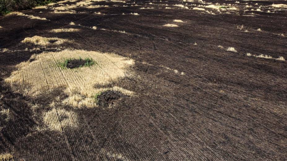 Foto aérea tirada em 13/07/2022 mostra um campo de trigo queimado após supostos ataques aéreos militares russos no leste da Ucrânia.