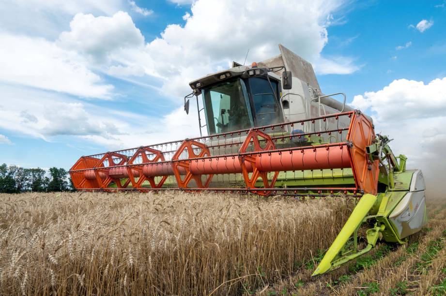 Agricultores colhem cevada em um campo na região ucraniana de Kharkiv, em 18/07/ 2022.