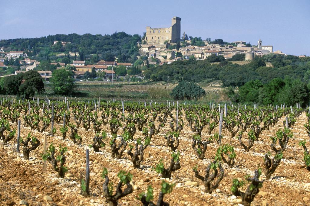 043_AUR_PR-84V00101.jpg ORIGEM - Châteauneuf-du-Pape, em Avignon: os vinhedos como base dos produtos -