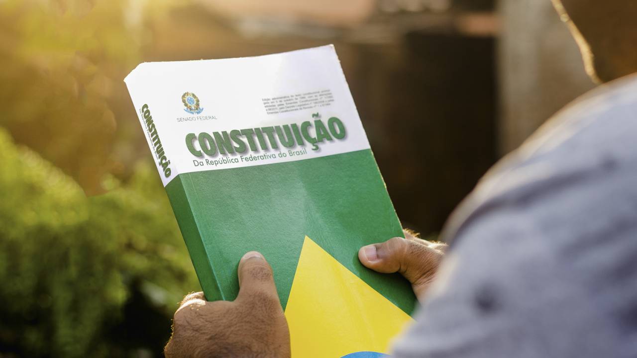 DEMOCRACIA DE EXCESSO - A Constituição: ela não controla as opiniões -