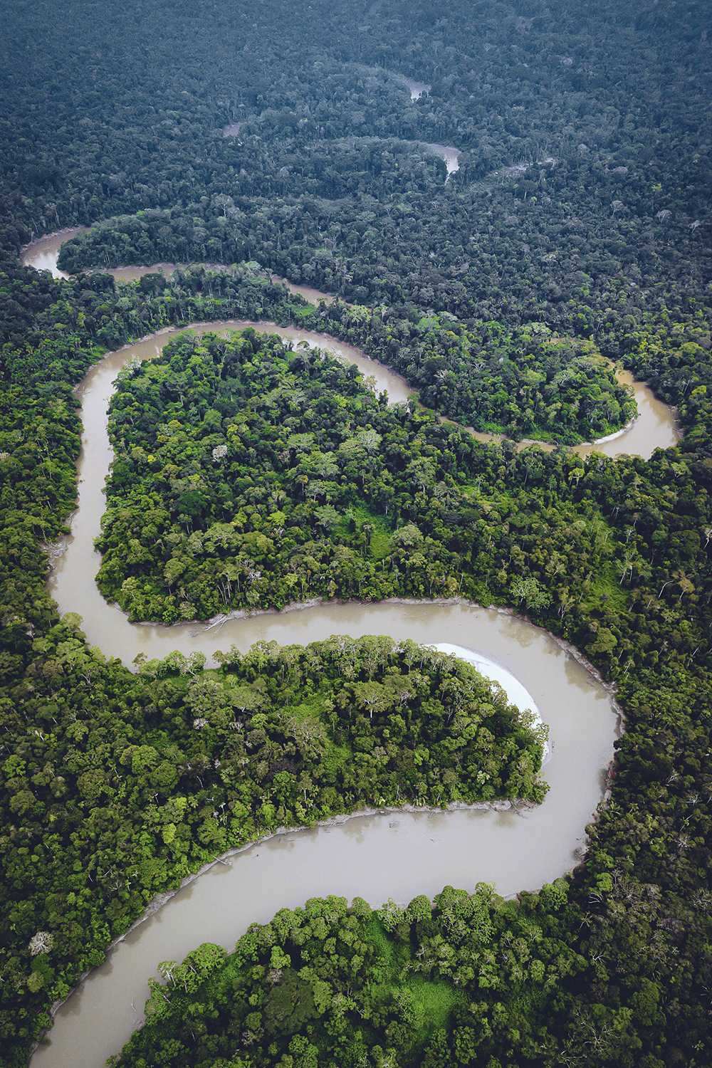 GettyImages-1322481257.jpg2 MATA VIRGEM - Bacia do Xingu: a configuração atual da floresta é resultado direto da ação humana -