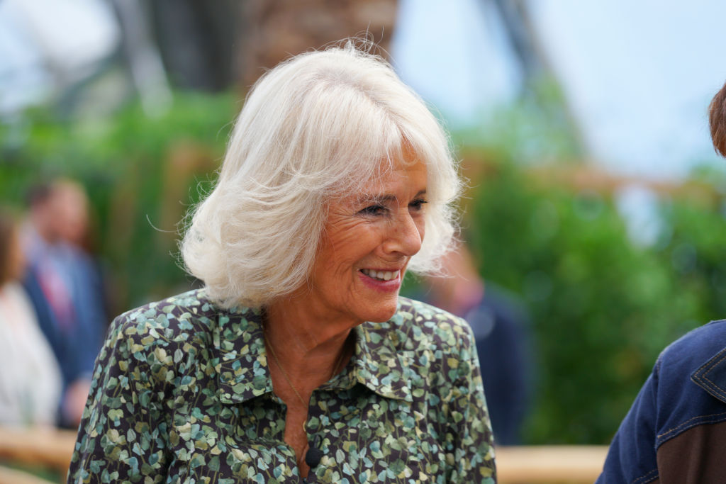 Camilla da Cornualha, de amante a Rainha Consorte