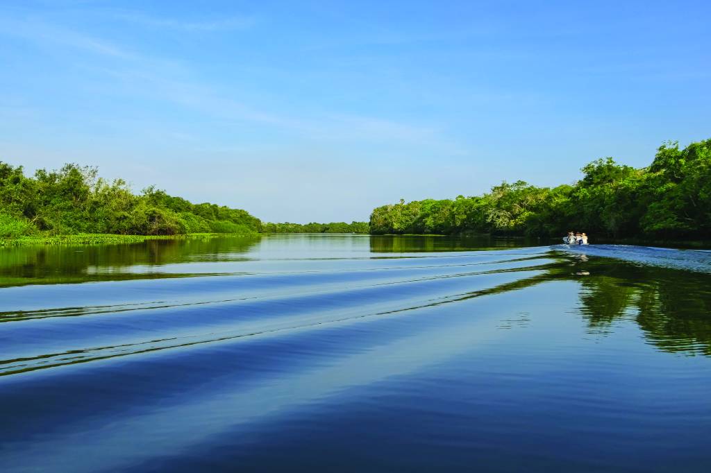 Aterros do Pantanal são elevações artificiais que podem ter milhares de anos