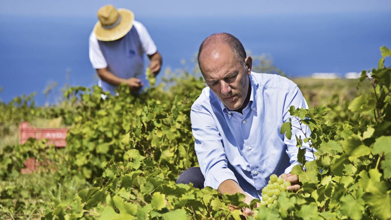 TRADIÇÃO - Antonio Rallo, CEO da vinícola Donnafugata: sabor siciliano -