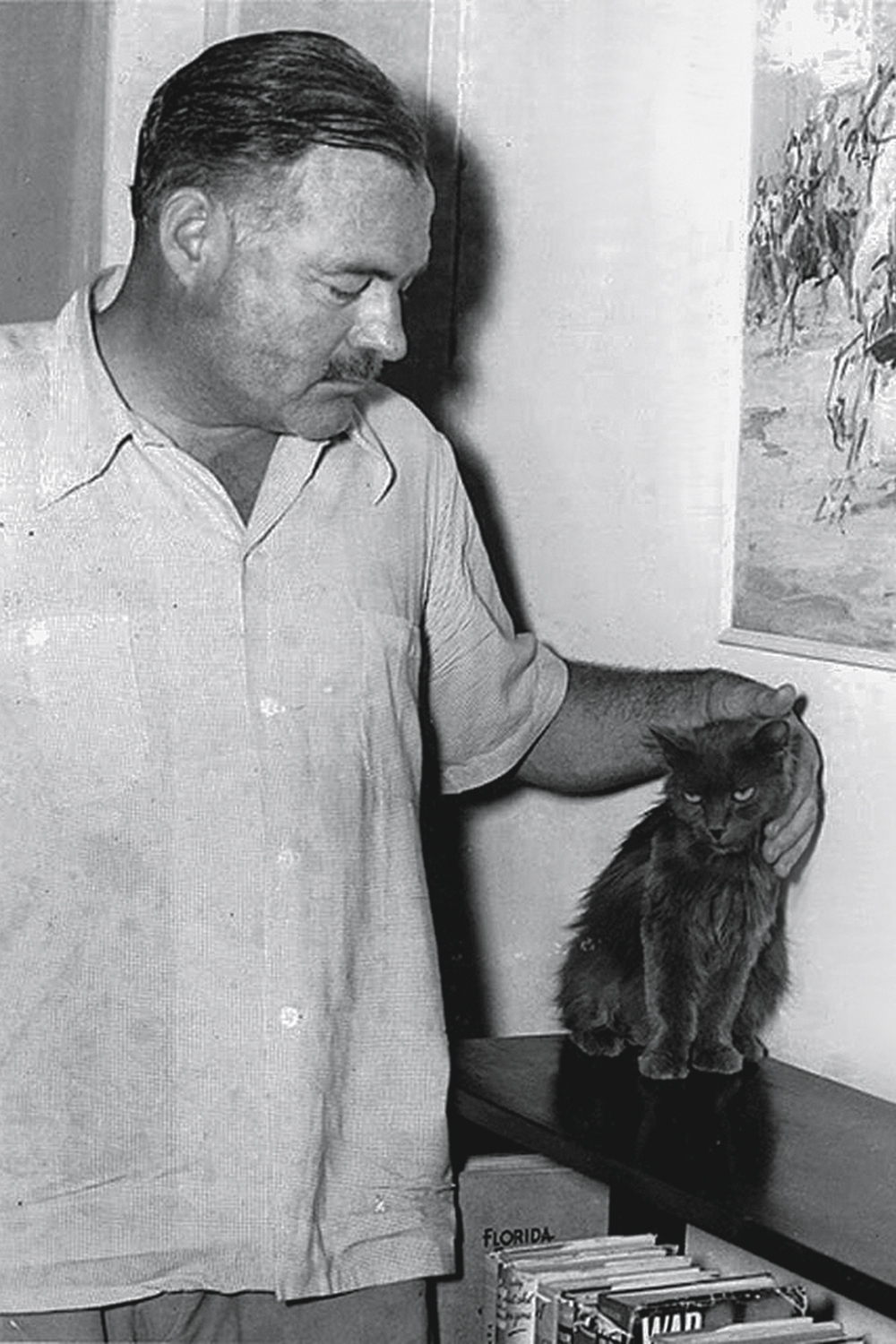 Ernest-Hemingway.jpg PAI DE PET - Hemingway: antiga casa do autor abriga 59 gatos -