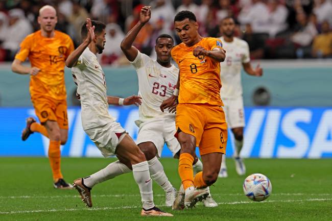 FBL-WC-2022-MATCH36-NED-QAT Cody Gakpo chegou ao terceiro gol no Mundial -
