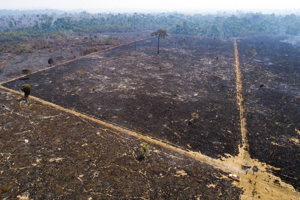 AP22057786318983.jpg TERRA ARRASADA - Amazônia: o desmatamento cresceu 59% com Bolsonaro -