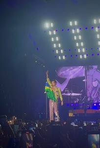 Harry Styles com a bandeira do Brasil –