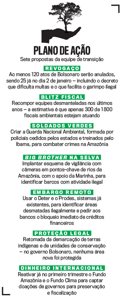 arte Meio Ambiente