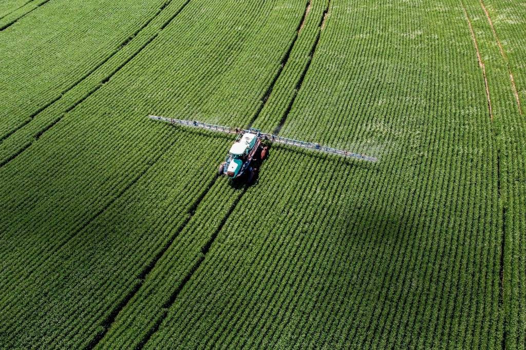Dura reação à ajuda de Trump a Milei mostra Brasil no alvo dos EUA