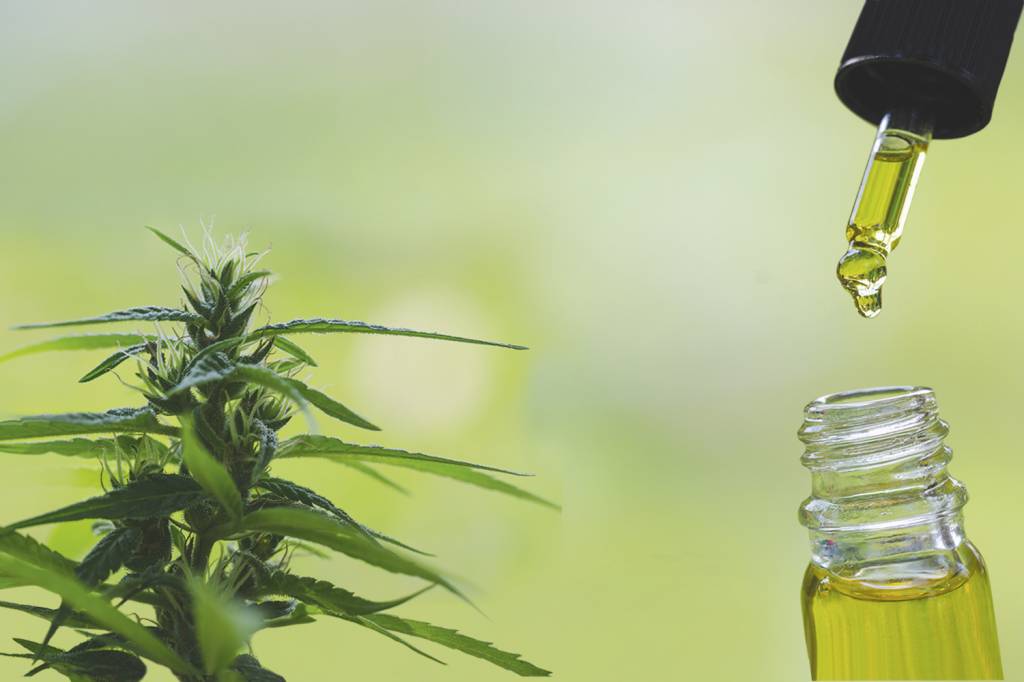 Deputados debatem perspectivas da regulamentação da cannabis em SP