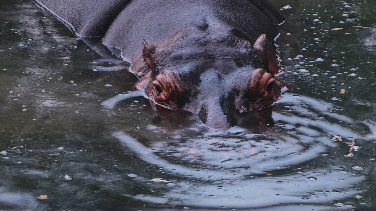 Photo taken in Antioquia, Colombia