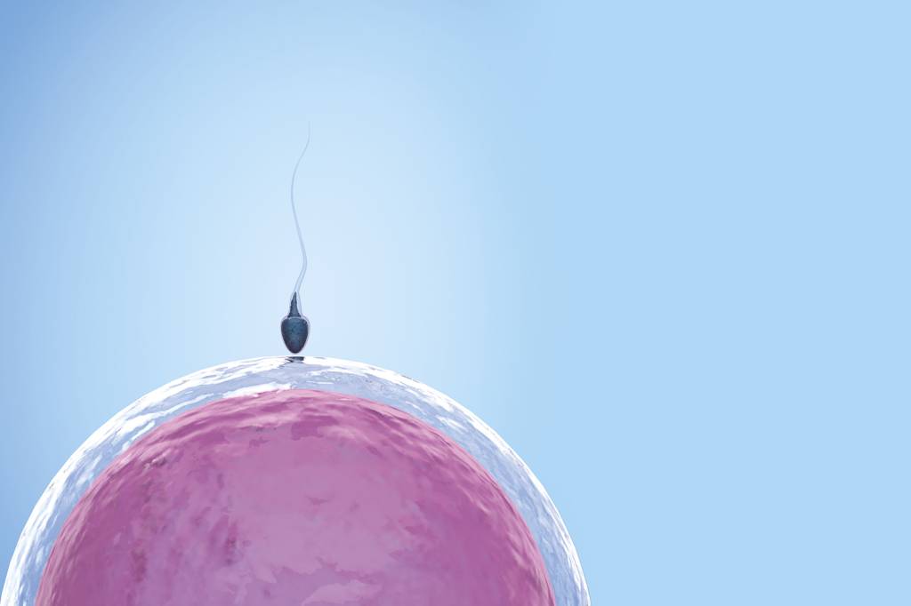 Reino Unido registra nascimento de bebês com DNA de três pessoas