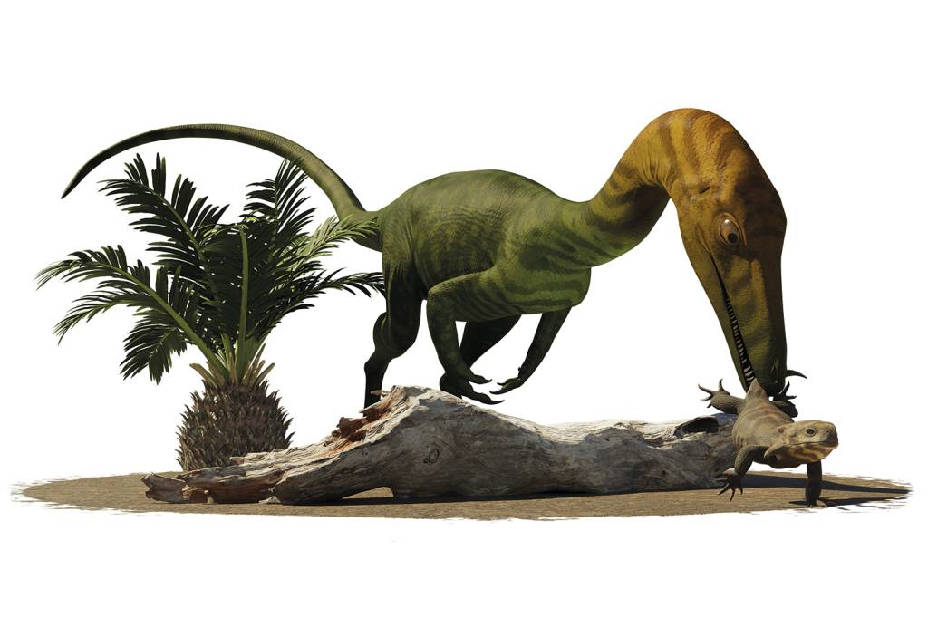 ERYTHROVENATOR-ESPECIE-NOVA-1.jpg PREDADOR - O Erythrovenator caçou em terras brasileiras 225 milhões de anos atrás. Seu cardápio incluía o Brasilodon, criatura que é um dos ancestrais dos mamíferos. Ainda se discute se o animal tem parentesco com gigantes pescoçudos ou com carnívoros bípedes.