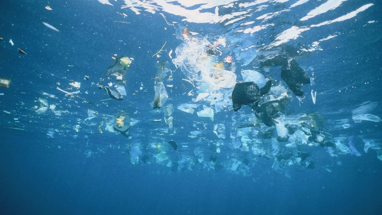 Plastic garbage is swimming on rhe water surface