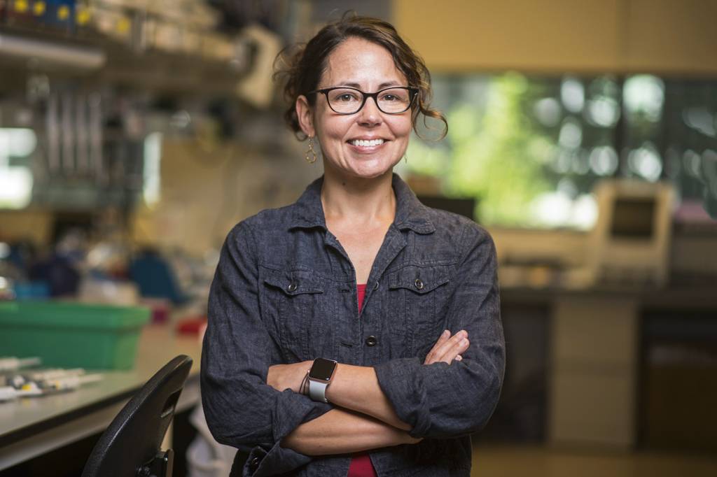 Lobo-terrível: o que diz a cientista-chefe da startup que quer reviver animais extintos