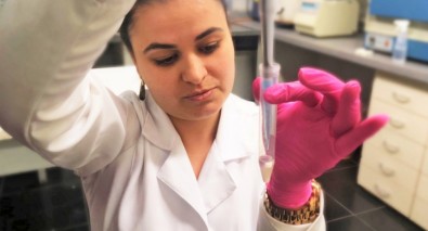 Técnica usada em bovinos tem sucesso em análise de fertilidade masculina