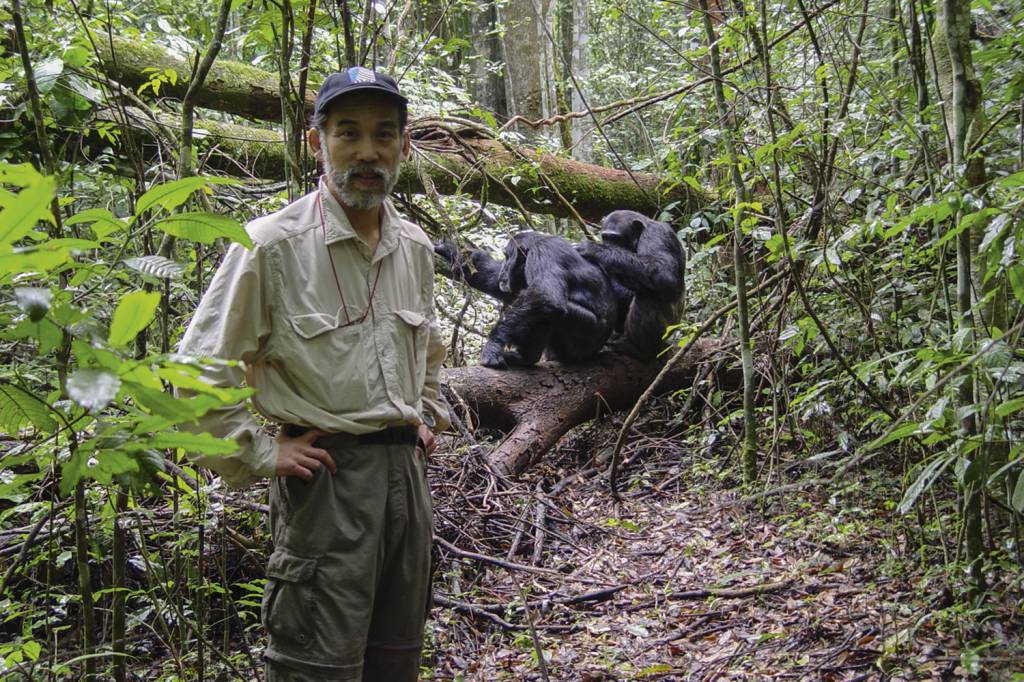 John-Mitani.jpg NA FLORESTA - Mitani e os chimpanzés de Ngogo: 25 anos de pesquisa