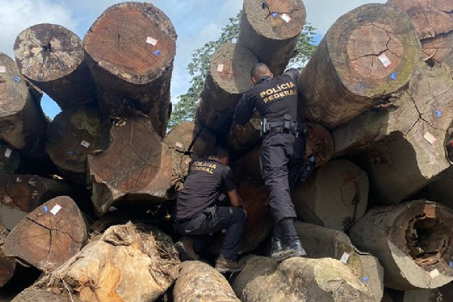 Ação da PF na terra indígena Karipuna