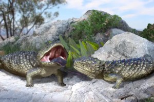 Representação digital do Tiliqua fringens, espécie australiana que viveu há cerca de 50 mil anos, junto com megafauna extinta -