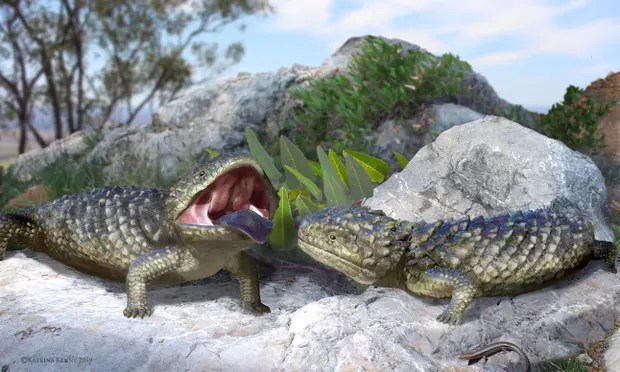 Representação digital do Tiliqua fringens, espécie australiana que viveu há cerca de 50 mil anos, junto com megafauna extinta -