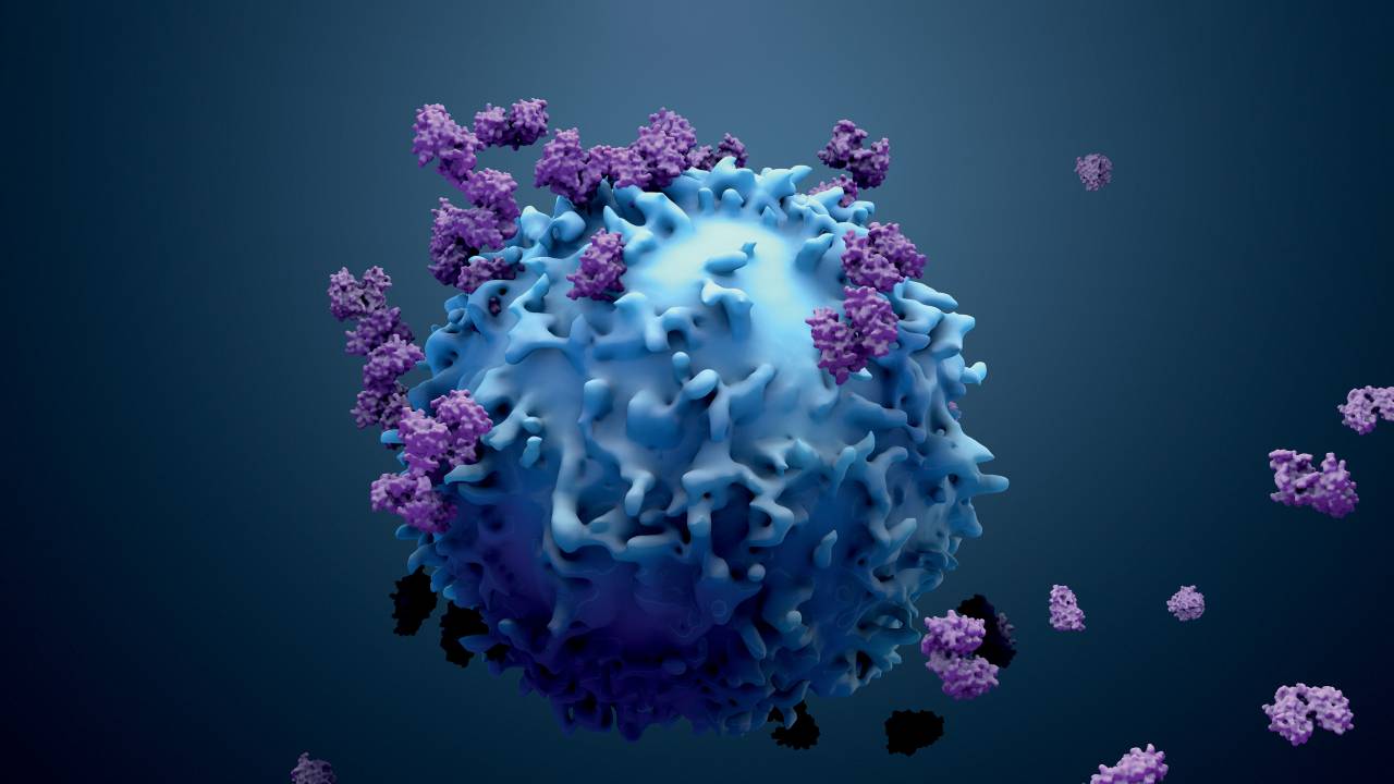 CONTRA-ATAQUE - Recrutamento interno: novas terapias fazem células de defesa perseguirem o tumor