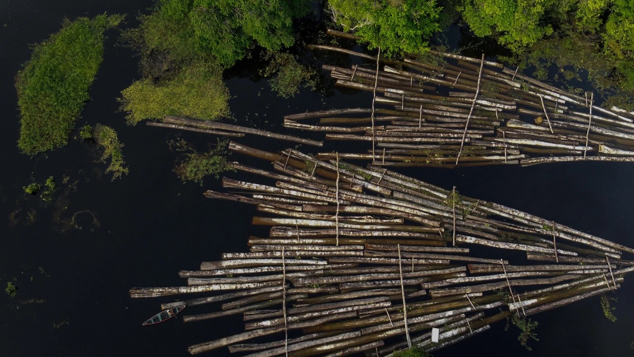 Madeira cortada na Amazônia