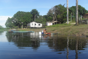 reprodução