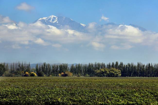 Iconic Wineries Of Mendoza Os vinhedos da Catena Zapata em Lujan de Cuyo, em Mendoza, com a Cordilheira dos Andes ao fundo -
