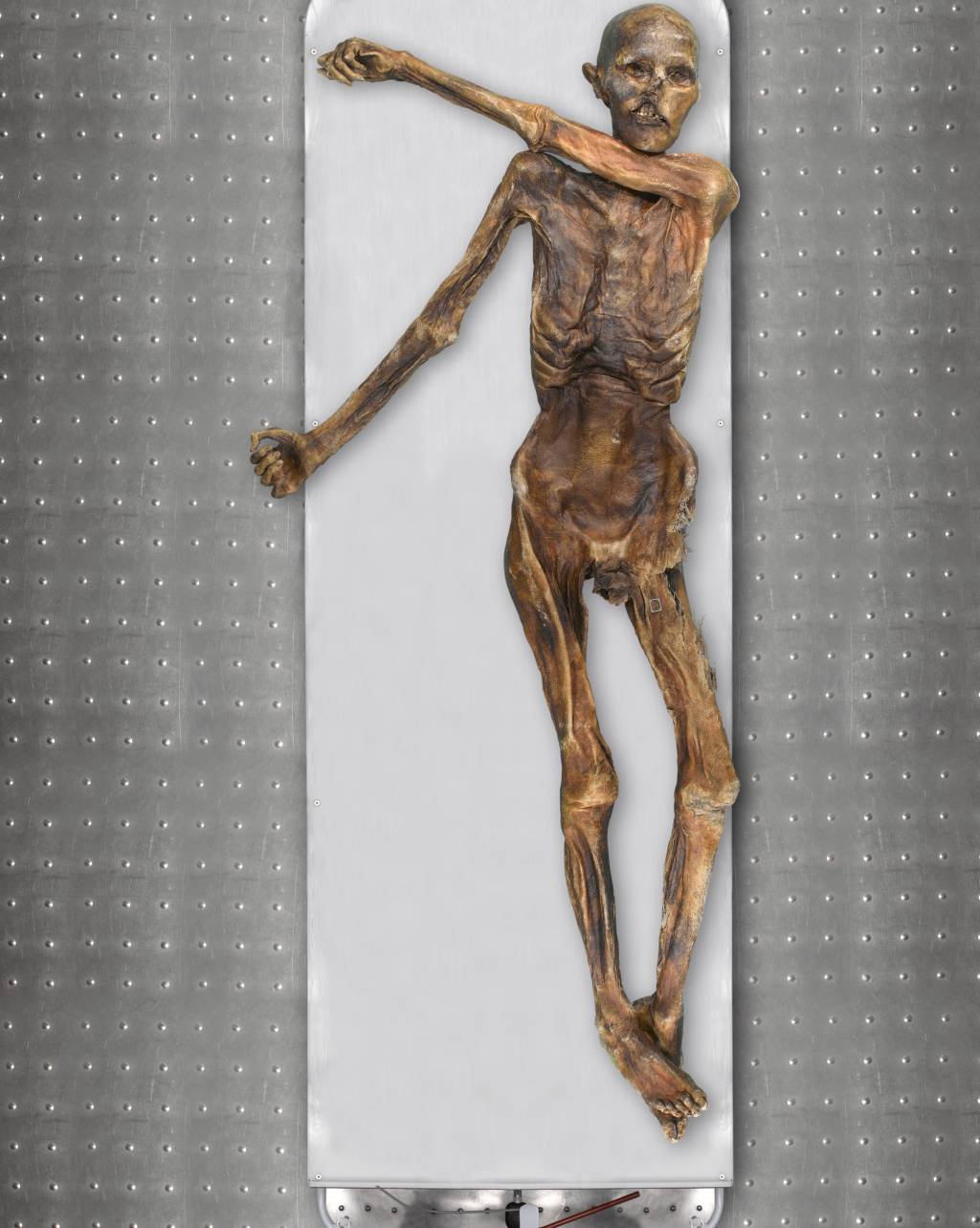 The Tyrolean Iceman is known as one of the oldest human glacier mummies CREDIT Südtiroler Archäologiemuseum EURAC Marco Samadelli-Gregor Staschitz (1) HOMEM DE GELO - Ötzi: corpo quase completamente preservado ficou enterrado no gelo por cinco milênios