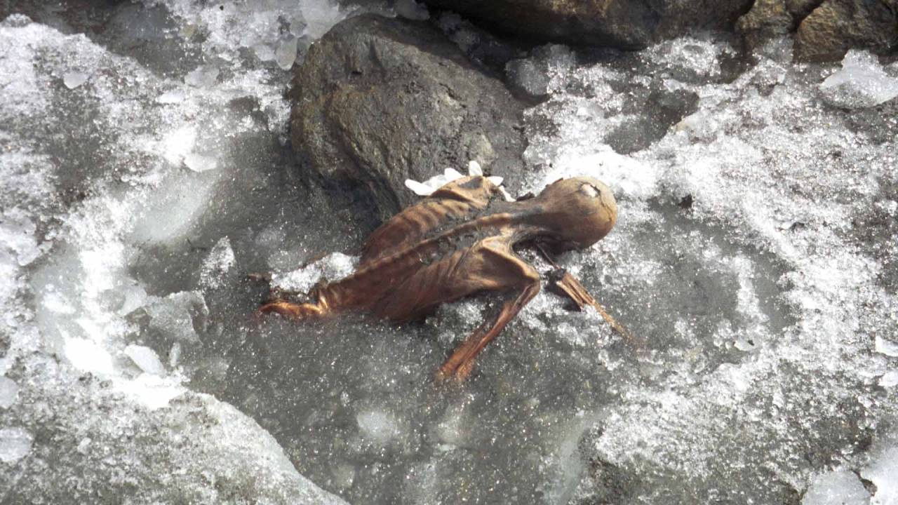 ÖTZI - Homem do gelo: múmia pertenceu a homem negro e possivelmente calvo