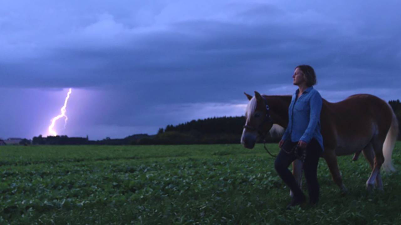 Documentário 'Visions in the Dark', de Flavia Moraes, mostra revolucionária técnica de treinamento de cavalos sem uso da violência -