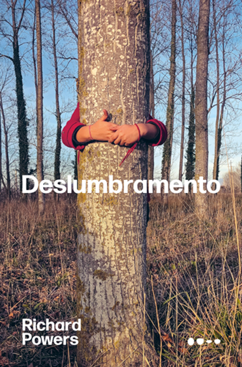 Deslumbramento, de Richard Powers (tradução de Santiago Nazarian; Todavia; 336 páginas; 79,90 reais e 54,90 reais em e-book)