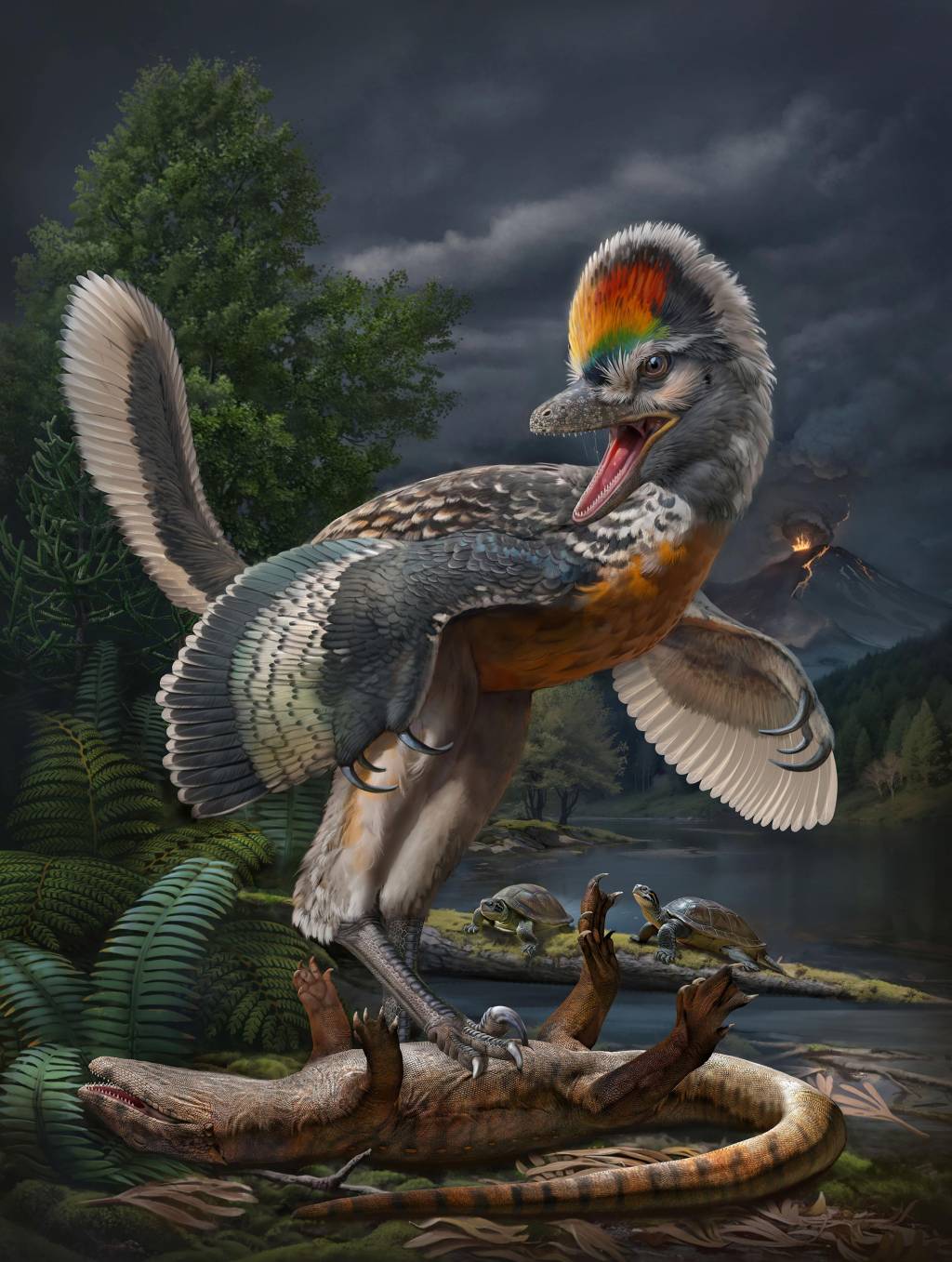 Fujianvenator prodigiosus Fujianvenator prodigiosus