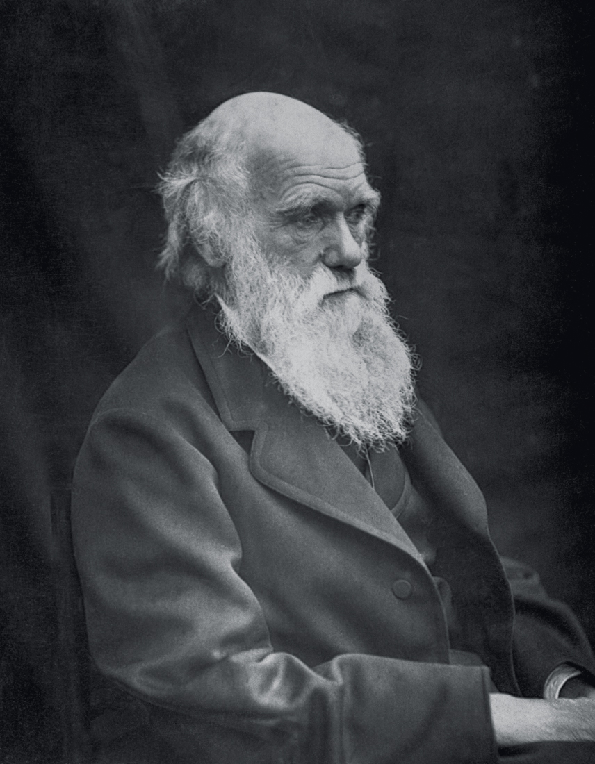 England/UK: Charles Darwin (1809-1882), English naturalist, geologist and author of ‘On the Origin of the Species’ (1859), Leonard Darwin, 1874 INSPIRAÇÃO - O biólogo Charles Darwin: cinco anos a bordo do Beagle